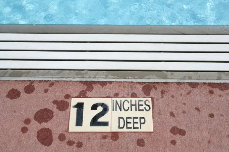 Common Things That Are 12 Inches Long